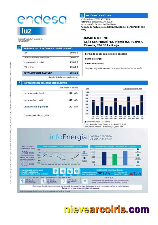 Spain Endesa luz business utility bill